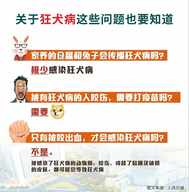 西南医大中医院动物致伤中心·犬伤门诊开诊!(图19) 诊19.jpg