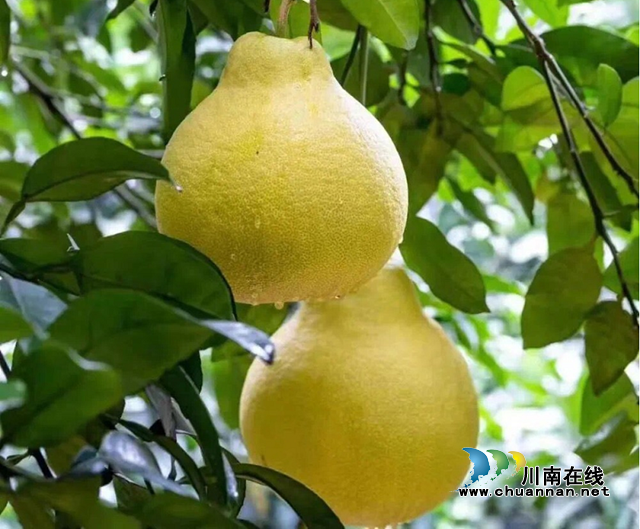 图1.png