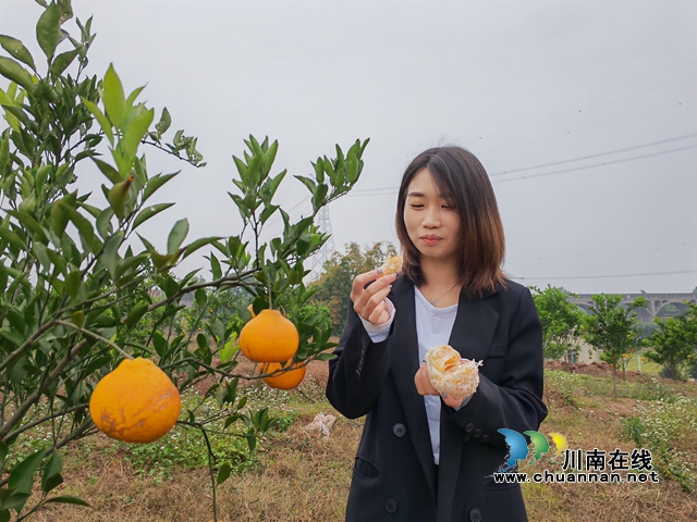 现场品尝（曾佐然摄）.jpg
