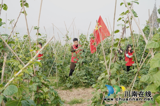 DSC01947_看图王.jpg