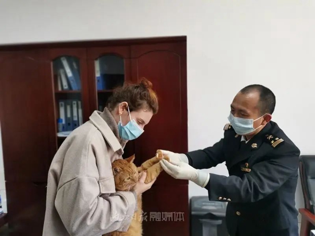 宠物1.jpg