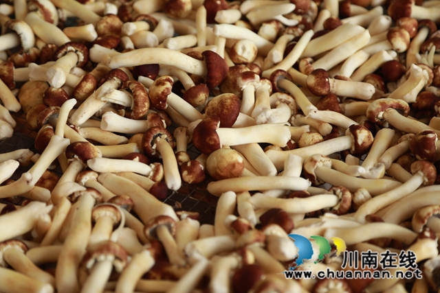 9Z6A3941.JPG
