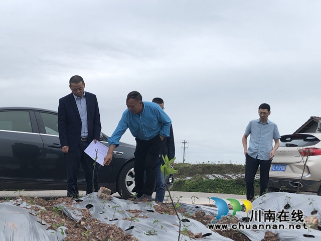 泸县毗卢镇莲花村环境治理项目通过验收