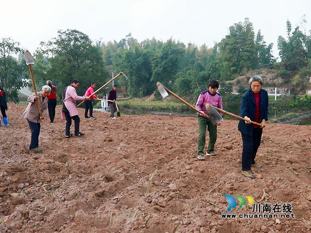 宜宾南溪区长兴镇：严守耕地保护红线，筑牢粮食安全底线