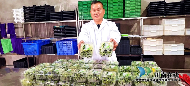 纳溪:有机芽苗菜“生”出致富路(图2) 图2:盒装销售的芽苗菜.jpg