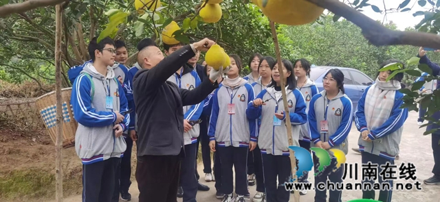 介绍.jpg