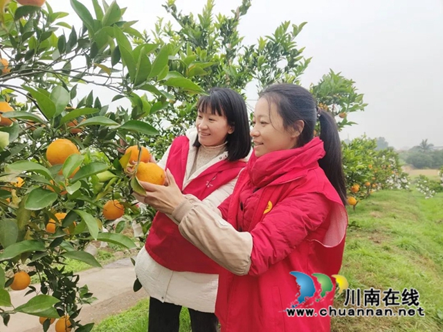 微信图片_20221215190650_副本.jpg