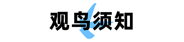 nEO_IMG_14.jpg