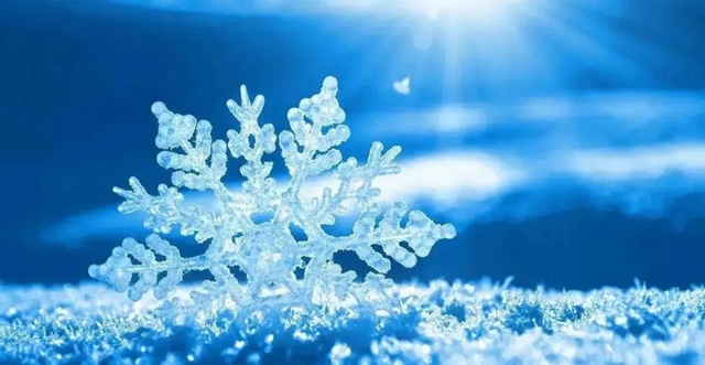 【围观】寒潮来袭，最低温仅4℃！