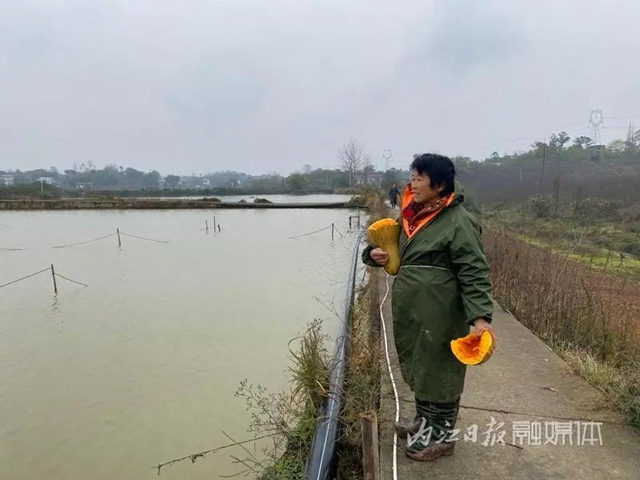 鱼3.jpg