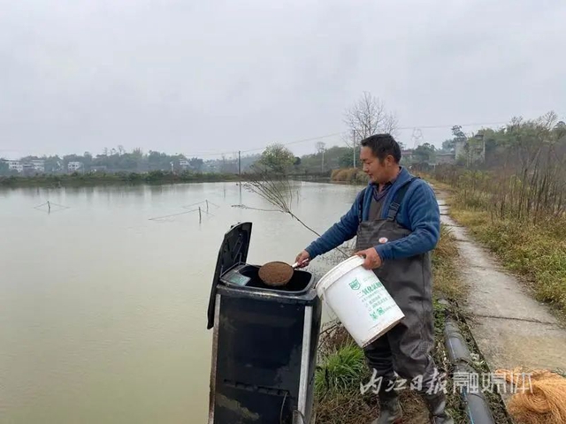 鱼5.jpg