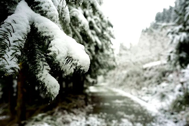下雪啦!叙永这些地方白雪皑皑!部分道路结冰,需注意安全(图2) 2.jpg