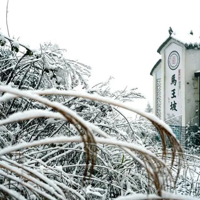 下雪啦!叙永这些地方白雪皑皑!部分道路结冰,需注意安全(图6) 6.jpg