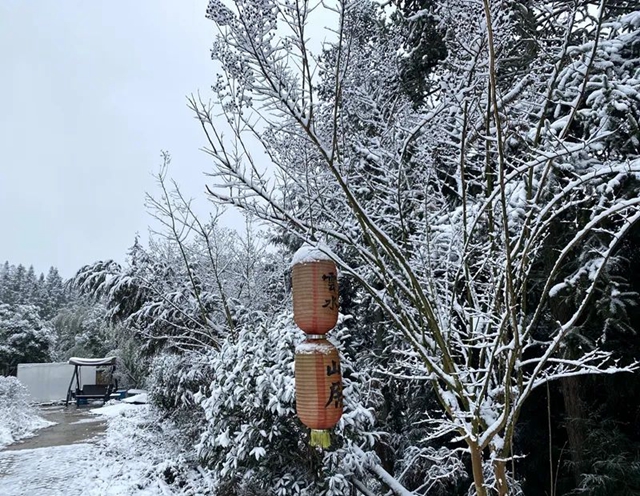 下雪啦!叙永这些地方白雪皑皑!部分道路结冰,需注意安全(图10) 10.jpg