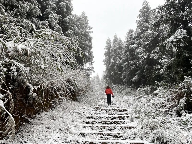 下雪啦!叙永这些地方白雪皑皑!部分道路结冰,需注意安全(图9) 9.jpg