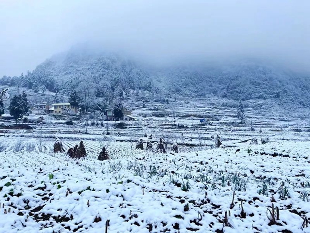 下雪啦!叙永这些地方白雪皑皑!部分道路结冰,需注意安全(图14) 14.jpg