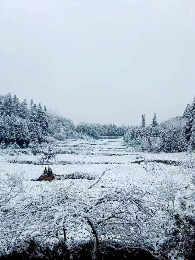 下雪啦!叙永这些地方白雪皑皑!部分道路结冰,需注意安全(图15) 15.jpg