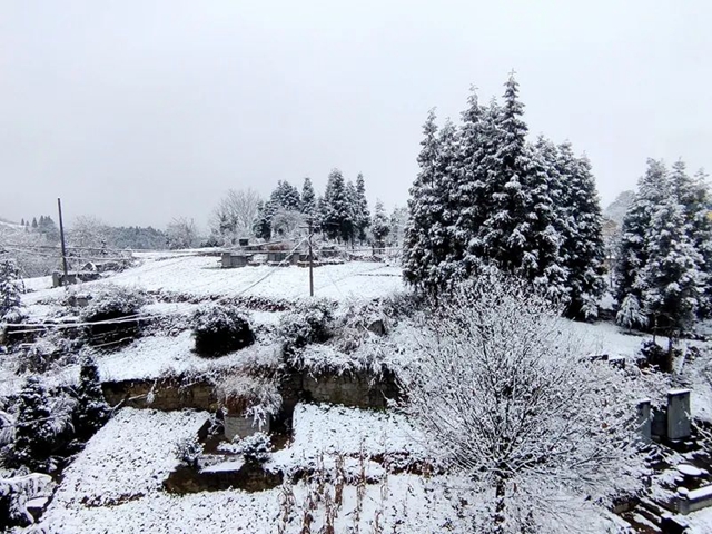 下雪啦!叙永这些地方白雪皑皑!部分道路结冰,需注意安全(图18) 18.jpg