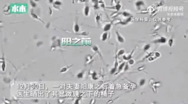 【提醒】夫妻“阳康”后着急备孕，医生这样说......