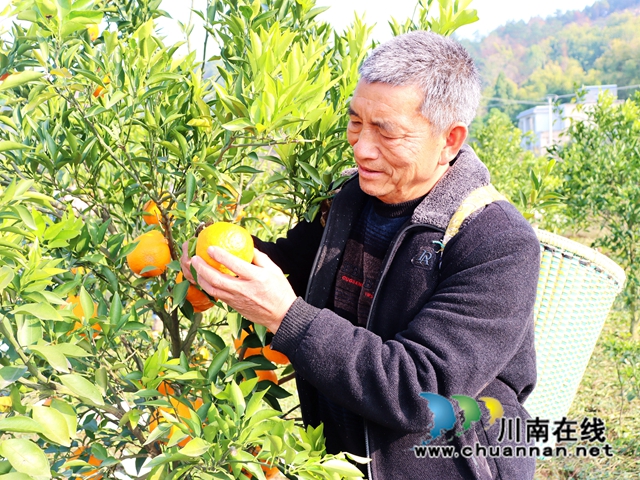 IMG_4043_副本.jpg