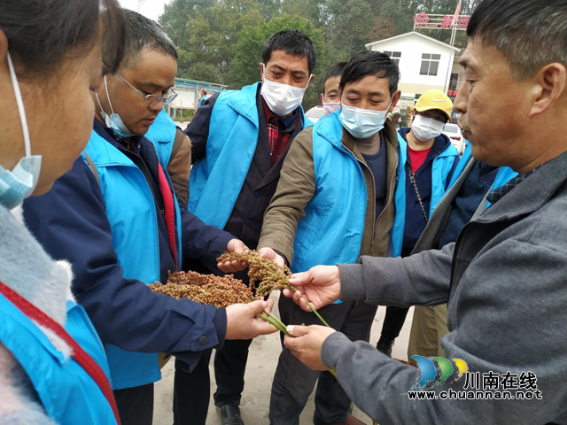 纳溪区:粮油种植培训圆满结业,42名学员有了新身份(图5) 结业5.png