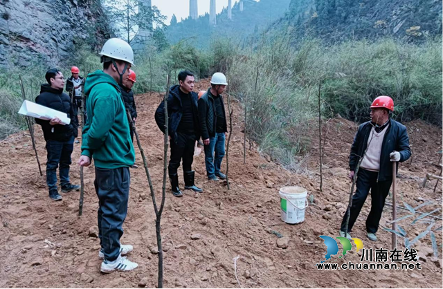 古蔺县自然资源和规划局开展历史遗留废弃矿山生态修复项目督查