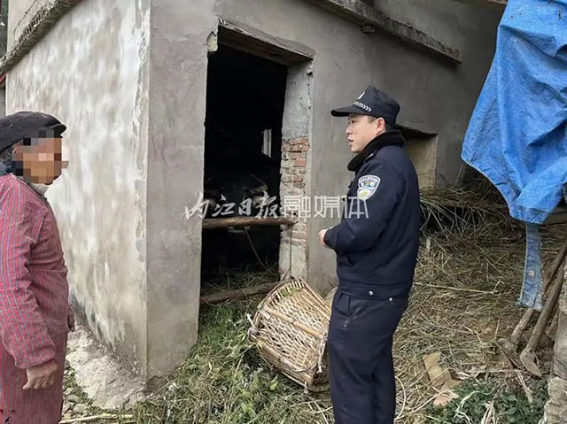 急!威远村民报警:“我养了十年的牛不见了!”……(图1) 1.jpg