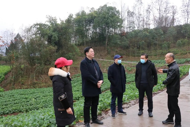 泸州市口岸物流办到联系村宣讲党的二十大精神并开展新春走访慰问活动