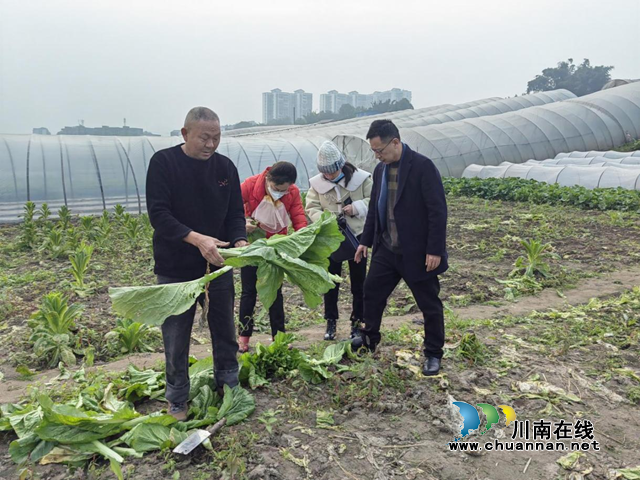 纳溪区加强节日期间农产品质量安全监管
