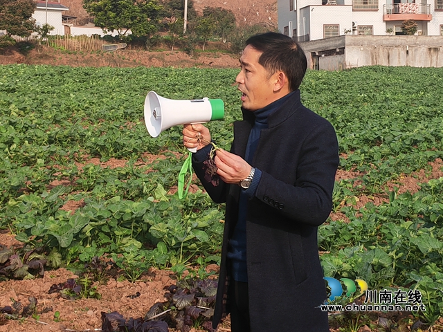泸县百和镇召开“东翼”泸县粮油现代农业园区油菜种植管理现场工作推进会