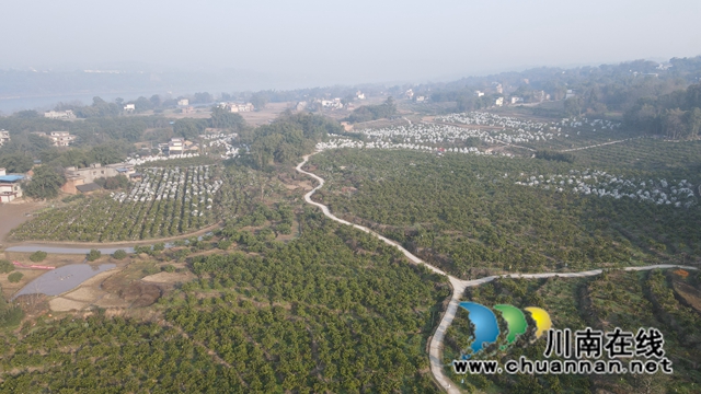 DJI_0626.JPG