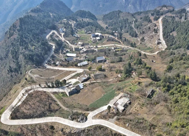 橙２.jpg