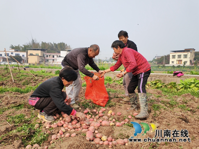 装袋（曾佐然摄）.jpg