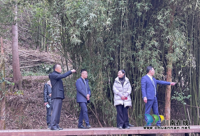 泸州市生态环境局到泸县百和镇督导大陆溪水环境改善攻坚工作