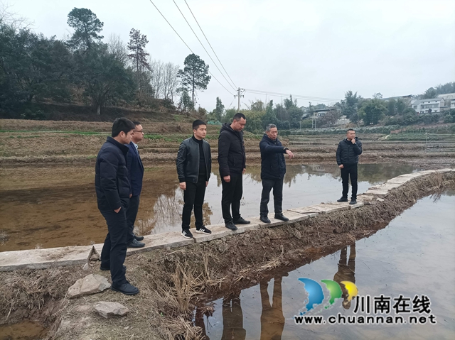 泸县云龙镇抢抓农时全力做好春耕备耕