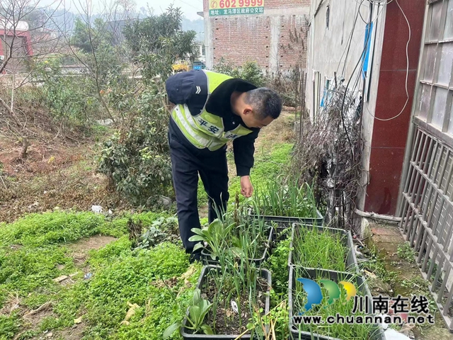 泸县百和镇开展禁种铲毒踏查宣传教育活动
