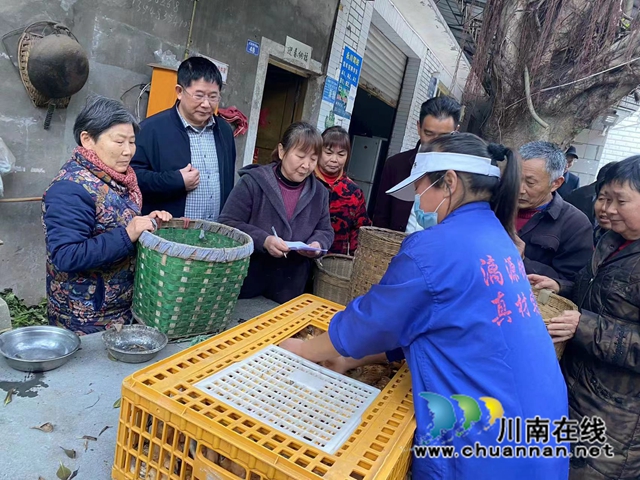 龙马潭区鱼塘街道王庄村：乡贤倾情赠鸡苗，助农致富添动力