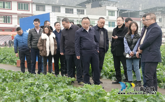 古蔺县全力攻坚耕地恢复工作