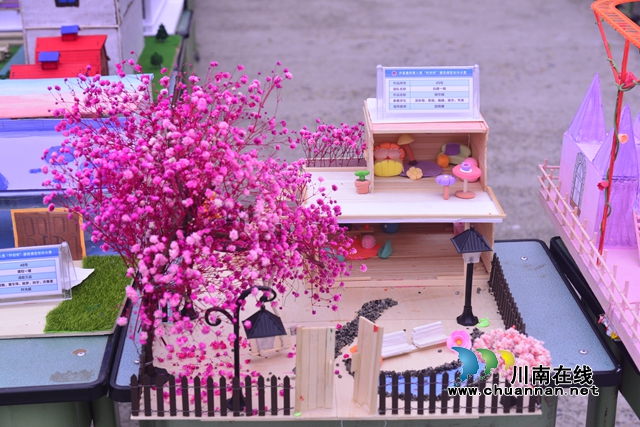 泸县建校开展第八届“科创杯”建模制作大赛