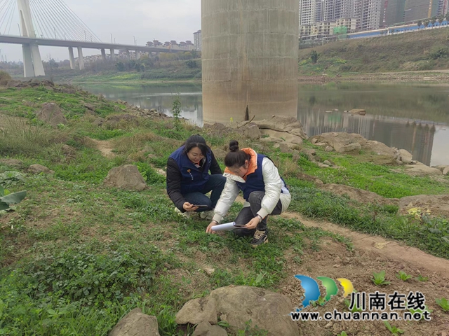 江阳区华阳街道龙腾社区开展禁种铲毒宣传活动