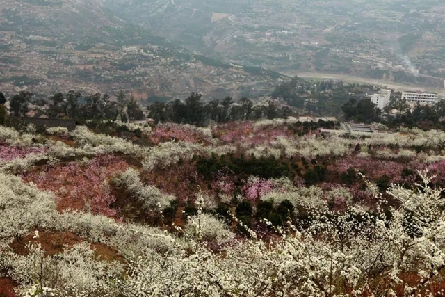 李1.jpg