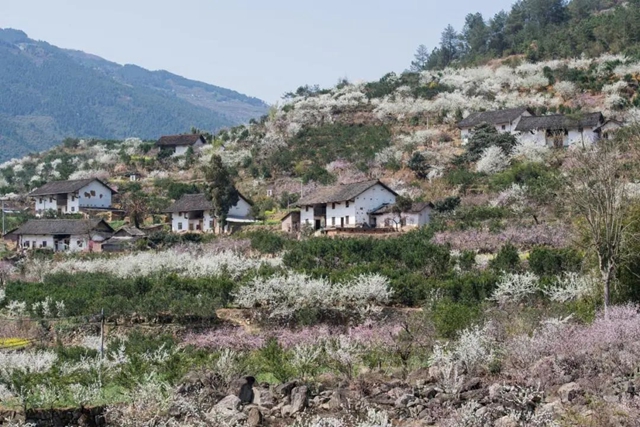 李2.jpg
