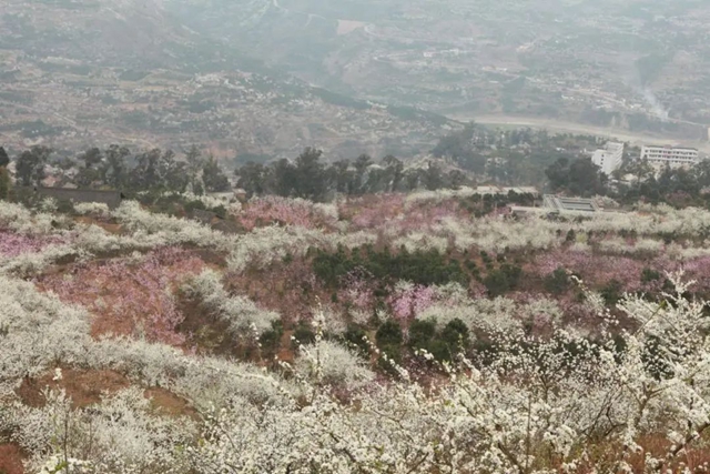 李3.jpg