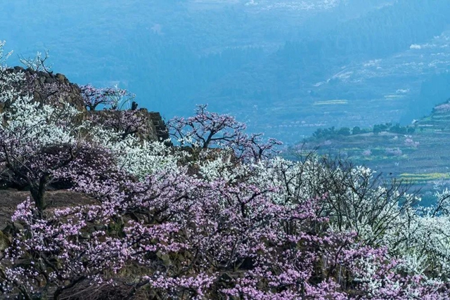 李4.jpg
