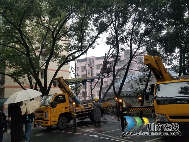 民心守护｜龙马潭区小市街道：为民解忧办实事，多元协商砍危树