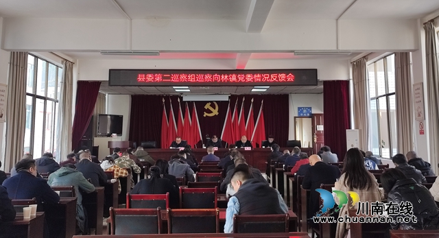 叙永县委第二巡察组巡察向林镇党委情况反馈会召开