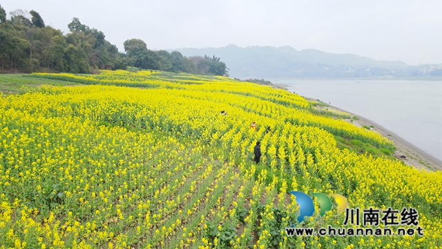 DJI_0631_副本.jpg