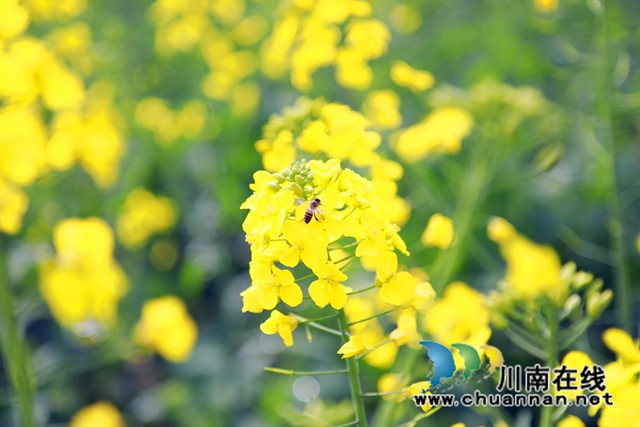 3Y7A0193_副本.jpg