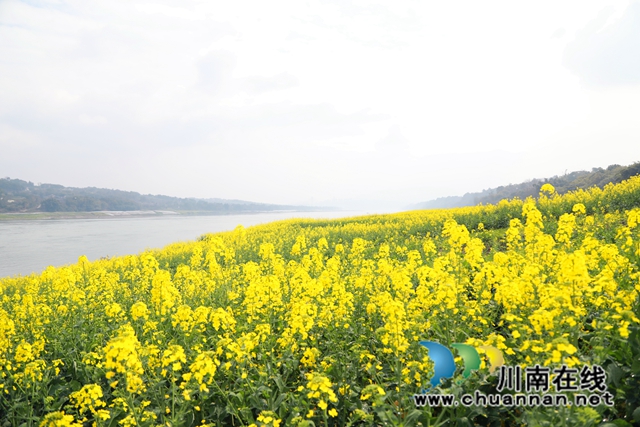 3Y7A0210_副本.jpg