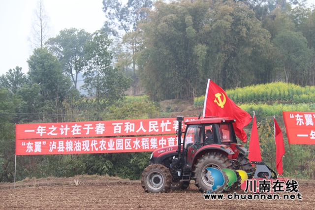 民心守护丨泸县百和镇：十里春耕遍地忙